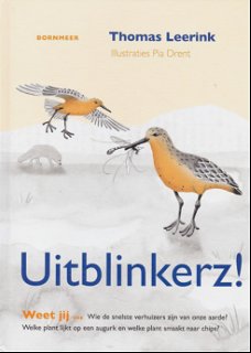 UITBLINKERZ! - Thomas Leerink