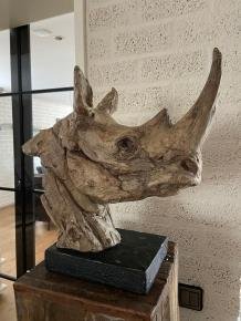 neushoorn, torso