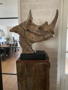 neushoorn, torso - 5