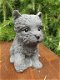 honden puppy , beeld van hond,kado - 0 - Thumbnail