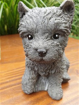 honden puppy , beeld van hond,kado - 1