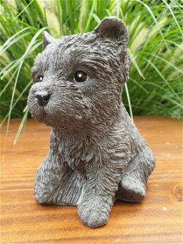 honden puppy , beeld van hond,kado - 3