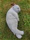 zeehond,tuinbeeld - 5 - Thumbnail