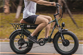 GOGOBEST GF750 Plus Electric Retro Bike 20*4.0 inch Fat Tires 1000W - 2 - Thumbnail