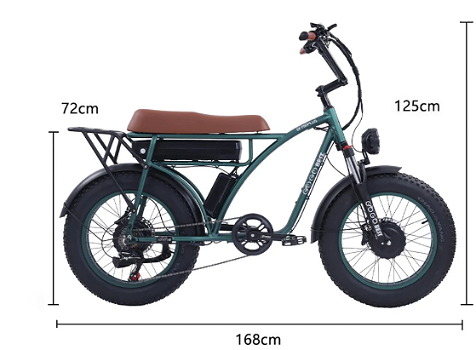 GOGOBEST GF750 Plus Electric Retro Bike 20*4.0 inch Fat Tires 1000W - 6