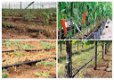 100m irrigatiesysteem + 174 accessoires voor het besproeien van de tuin Druppelirrigatieset - 5 - Thumbnail