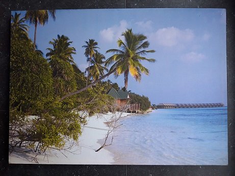 3x canvas op houten frame Tropische Hawaii-achtige palmboom afbeeldingen - 0