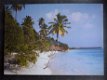 3x canvas op houten frame Tropische Hawaii-achtige palmboom afbeeldingen - 0 - Thumbnail
