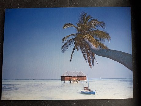 3x canvas op houten frame Tropische Hawaii-achtige palmboom afbeeldingen - 2