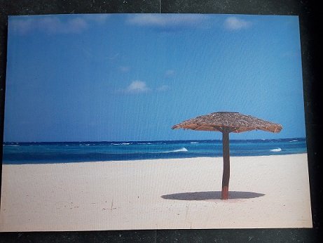 3x canvas op houten frame Tropische Hawaii-achtige palmboom afbeeldingen - 4
