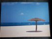 3x canvas op houten frame Tropische Hawaii-achtige palmboom afbeeldingen - 4 - Thumbnail