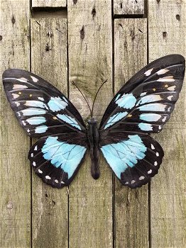 muurdecoratie vlinder , vlinder - 0