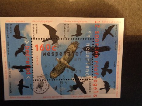 1995 Nederland BLOK vogels gestempeld - nvph 1652 - 0