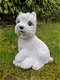 Wit hondje , boemer hond , beeld , aanbieding - 4 - Thumbnail