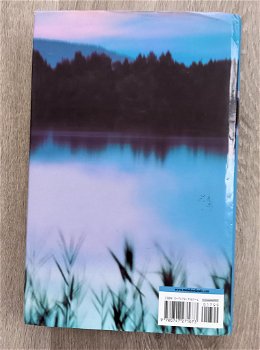 Chistina Schwarz 2000 Drowning Ruth - Headline 1st UK ed. - 4