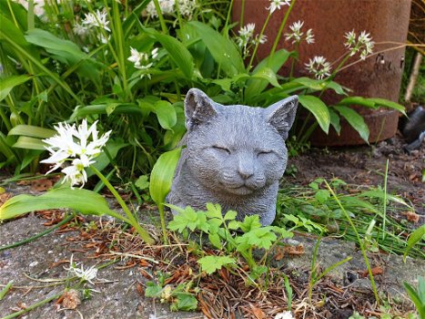 poes , betonnen beelden - 4