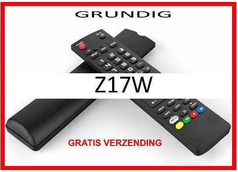 Vervangende afstandsbediening voor de Z17W van GRUNDIG. - 0