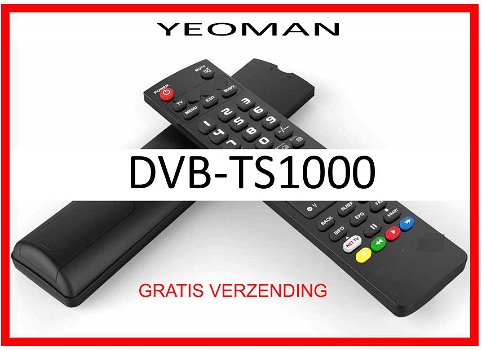Vervangende afstandsbediening voor de DVB-TS1000 van YEOMAN. - 0
