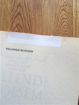 Luanne Rice met Vallende bloesem - 1