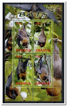 CINDERELLA: Vleermuizen / Bats - Rwanda - 2010 - 0