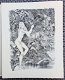 Daphnis et Chloé 1946 Longus - Ballivet (ill) Gelim. oplage - 0 - Thumbnail