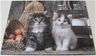 Puzzel *** LOVELY KITTENS *** 1000 stukjes Clementoni - 1 - Thumbnail