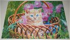 Puzzel *** KITTENS *** Limited Edition 3-in-1 Puzzle - 2 - Thumbnail