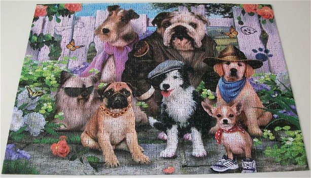 Puzzel *** FASHION DOGS *** 1000 stukjes Animal Collection - 1