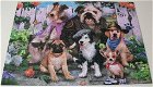 Puzzel *** FASHION DOGS *** 1000 stukjes Animal Collection - 1 - Thumbnail