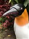 Pinguin , tuinbeeld , kado - 3 - Thumbnail