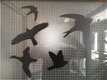 Raamstikker , vliegende vogels - 5 - Thumbnail
