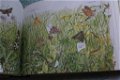 Vlinders en andere insekten van West- en Midden-Europa - 2 - Thumbnail