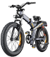 ENGWE X24 Electric Bike 24*4.0 inch Fat Tire 50km/h Max Speed - 1 - Thumbnail