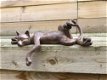 katten beeld , kat , poes - 2 - Thumbnail