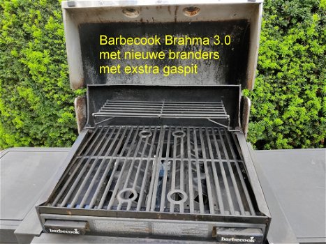 Brahma 3.0 Inox gasbarbecue van Barbecook - 1