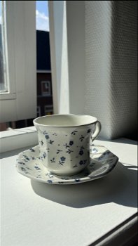 Royal Staffordshire servies - 1