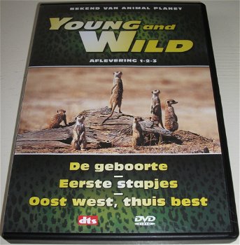 Dvd *** YOUNG AND WILD *** Deel 1 - 0