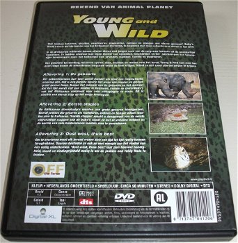 Dvd *** YOUNG AND WILD *** Deel 1 - 1