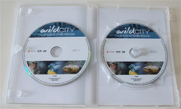Dvd *** WILD CITY *** 2-DVD Boxset - 3