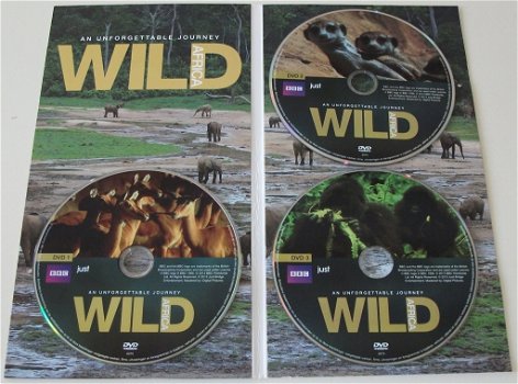 Dvd *** WILD AFRICA *** 3-DVD Boxset - 3