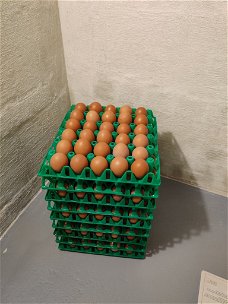 lekkere verse eieren