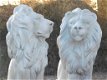 leeuwen, monica - 2 - Thumbnail
