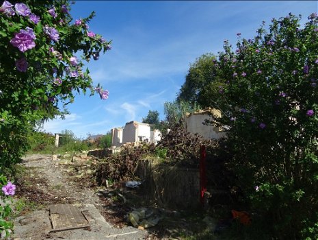 Grondstuk met een ruine in Mosdos - 1