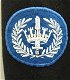 Overjas, Uniform, Korps Gemeentepolitie, Rang: Brigadier, Nederland, jaren'80/'90.(Nr.1) - 2 - Thumbnail