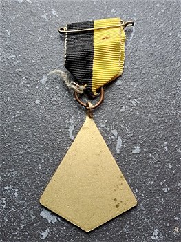 Medaille St. Maartenswandeltocht Tiel - 2