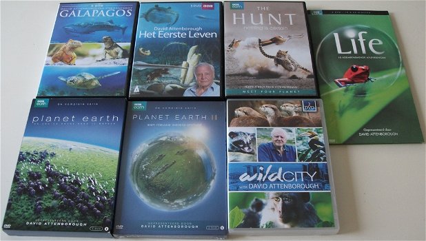 Dvd *** THE HUNT *** 3-DVD Boxset BBC Earth - 4