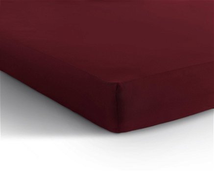 Hoeslaken Enkel Jersey 80/100 x 200 Bordeaux - 1