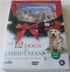 Dvd *** THE 12 DOGS OF CHRISTMAS ***