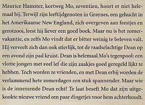 DE 17e ZOMER VAN MAURICE HAMSTER - Laure Van den Broeck - 1