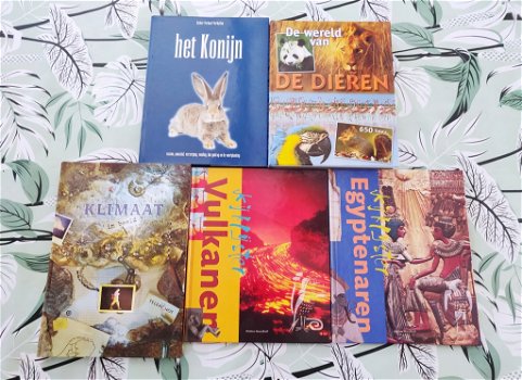 Verschillende kinderboeken (kook- en leerzame boeken) - 2